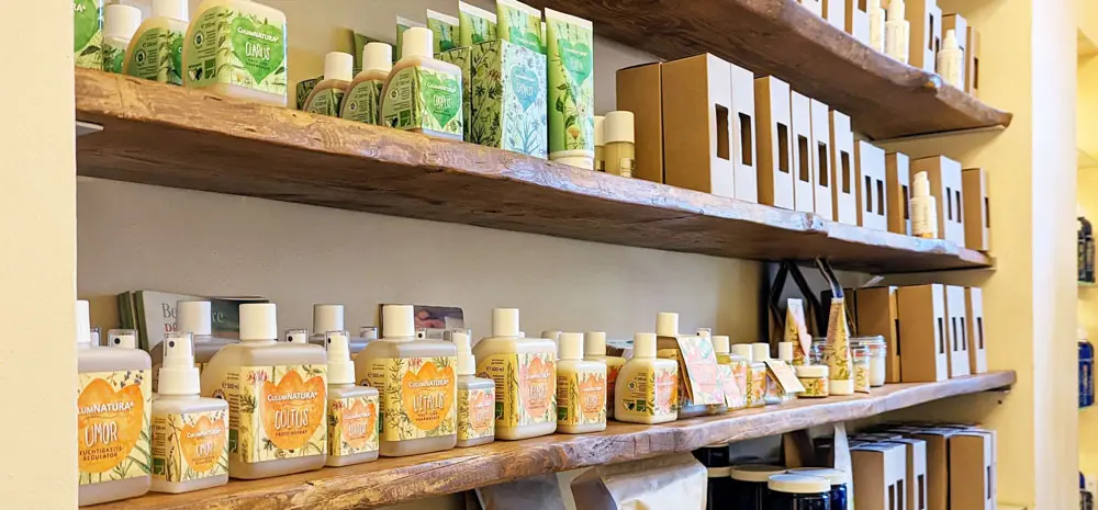Salon-Atmosphäre mit Moos-Wandkunst und Pflanzen bei Natural Hair Design